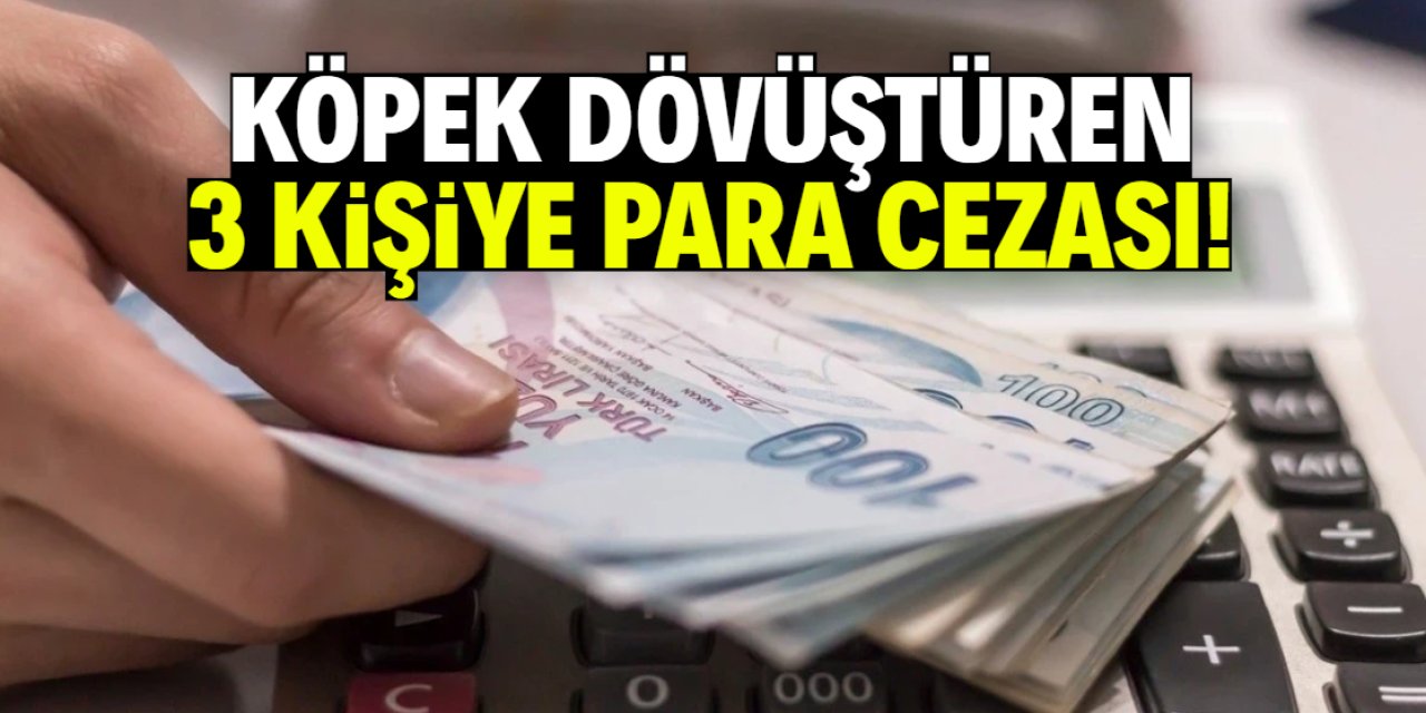 Köpek dövüştüren 3 kişiye para cezası! Miktar belli oldu