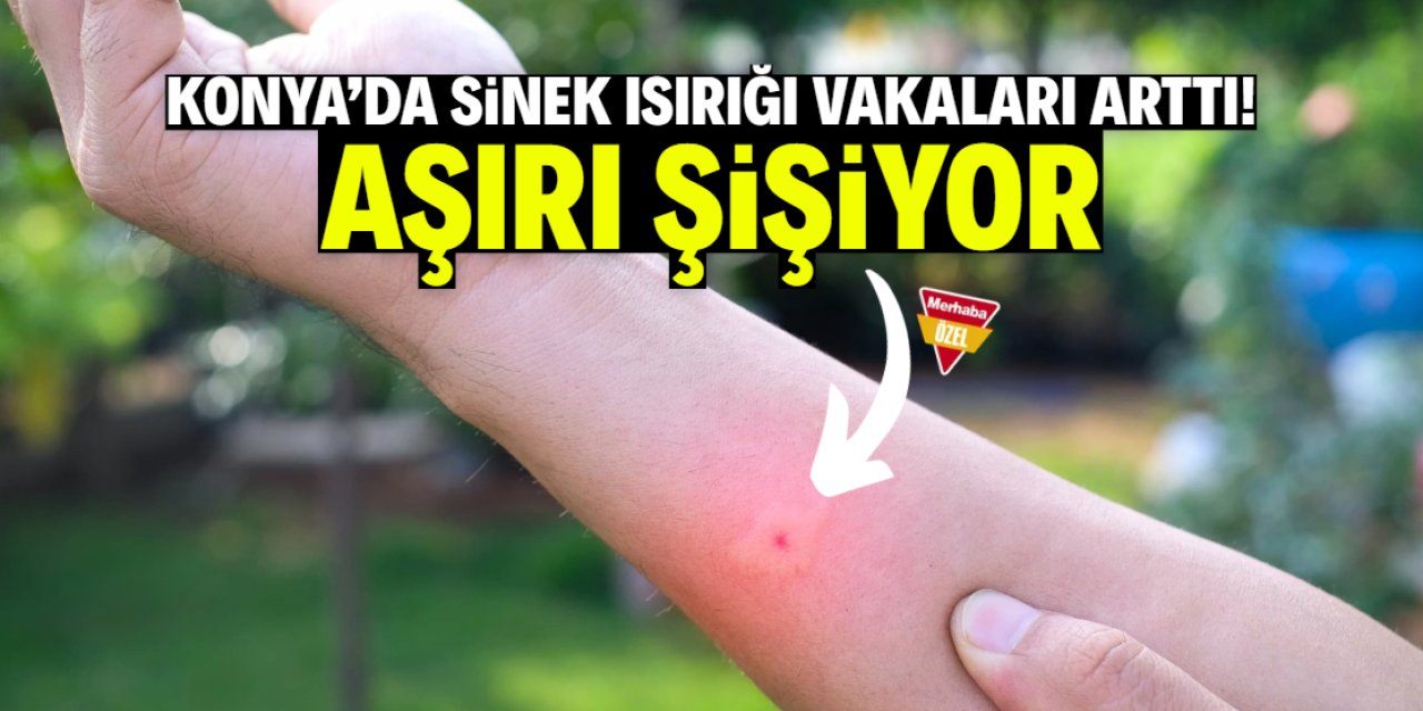 Konya'da sinek ısırığı vakaları arttı! Aşırı şişme ve morarma korkutuyor