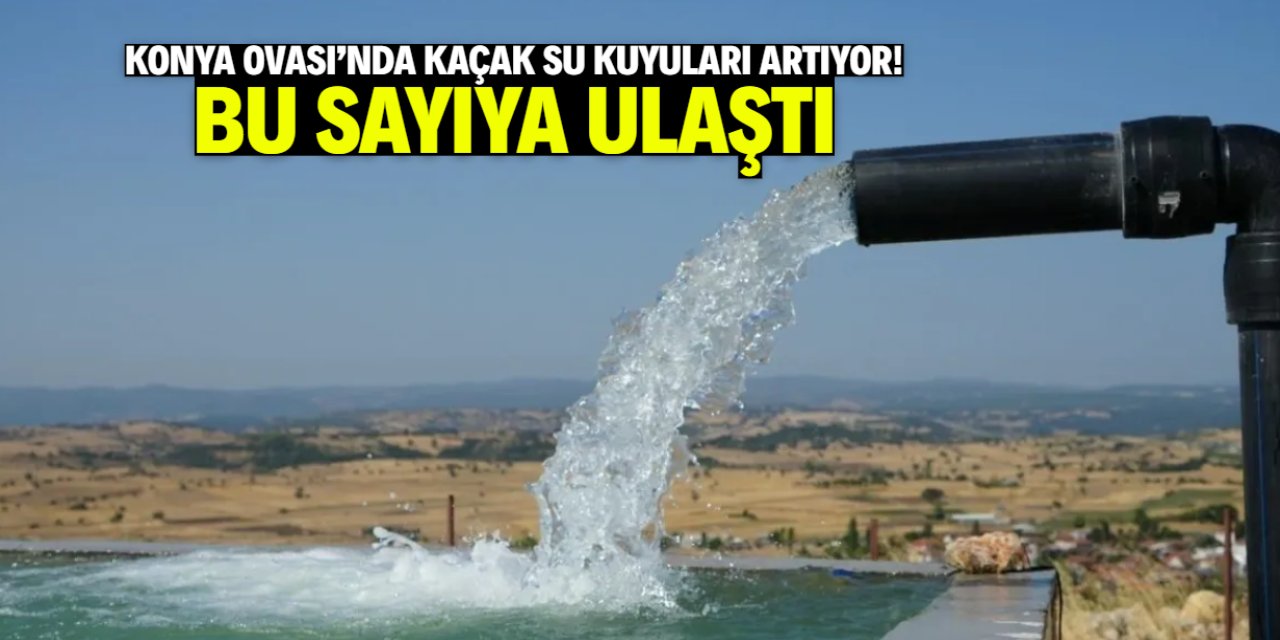 Konya Ovası'nda kaçak su kuyuları artıyor! Bu sayıya yükseldi