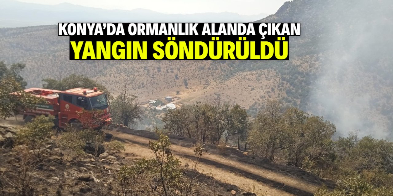 Konya'da ormanlık alanda çıkan yangın söndürüldü