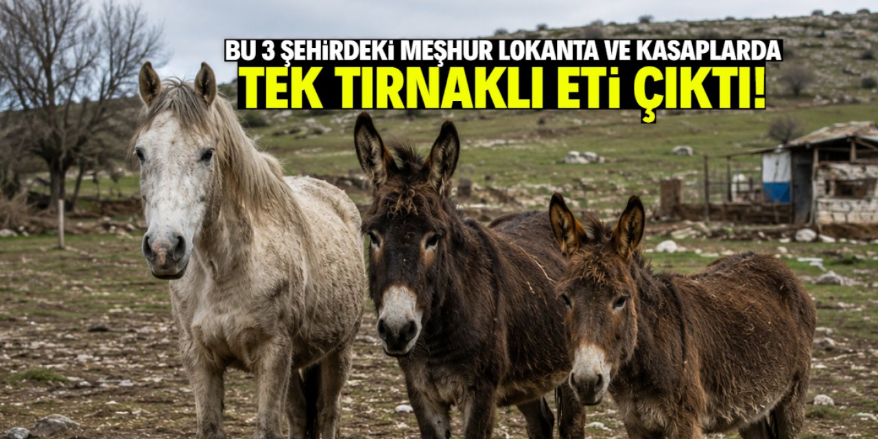 3 şehirdeki meşhur lokanta ve kasaplarda tek tırnaklı eti çıktı! İşte o firmalar