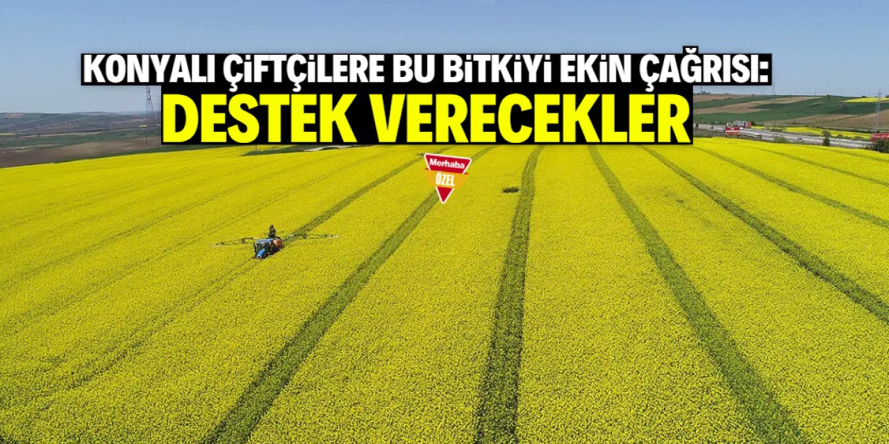 Konyalı çiftçilere bu bitkiyi ekin çağrısı: Büyük destek verecekler