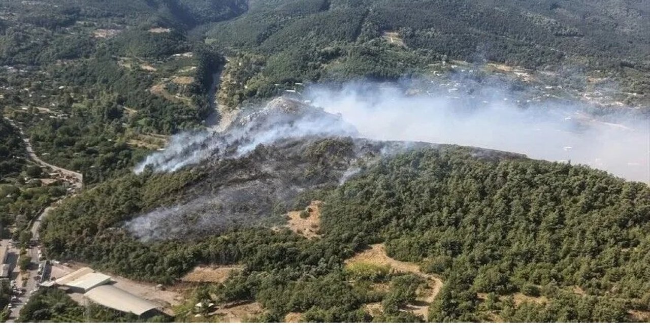 Orman yangınlarına müdahale ediliyor