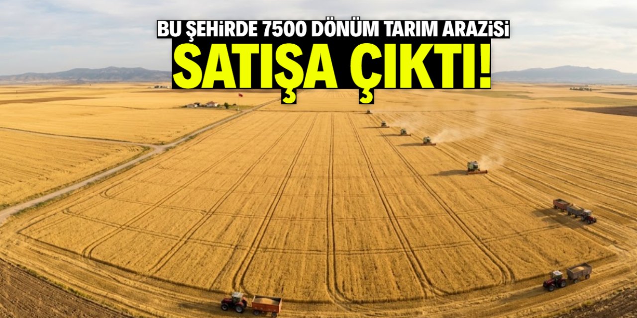 Bu şehirde 7500 dönüm tarım arazisi satışa çıktı! Fiyatı dudak uçuklattı
