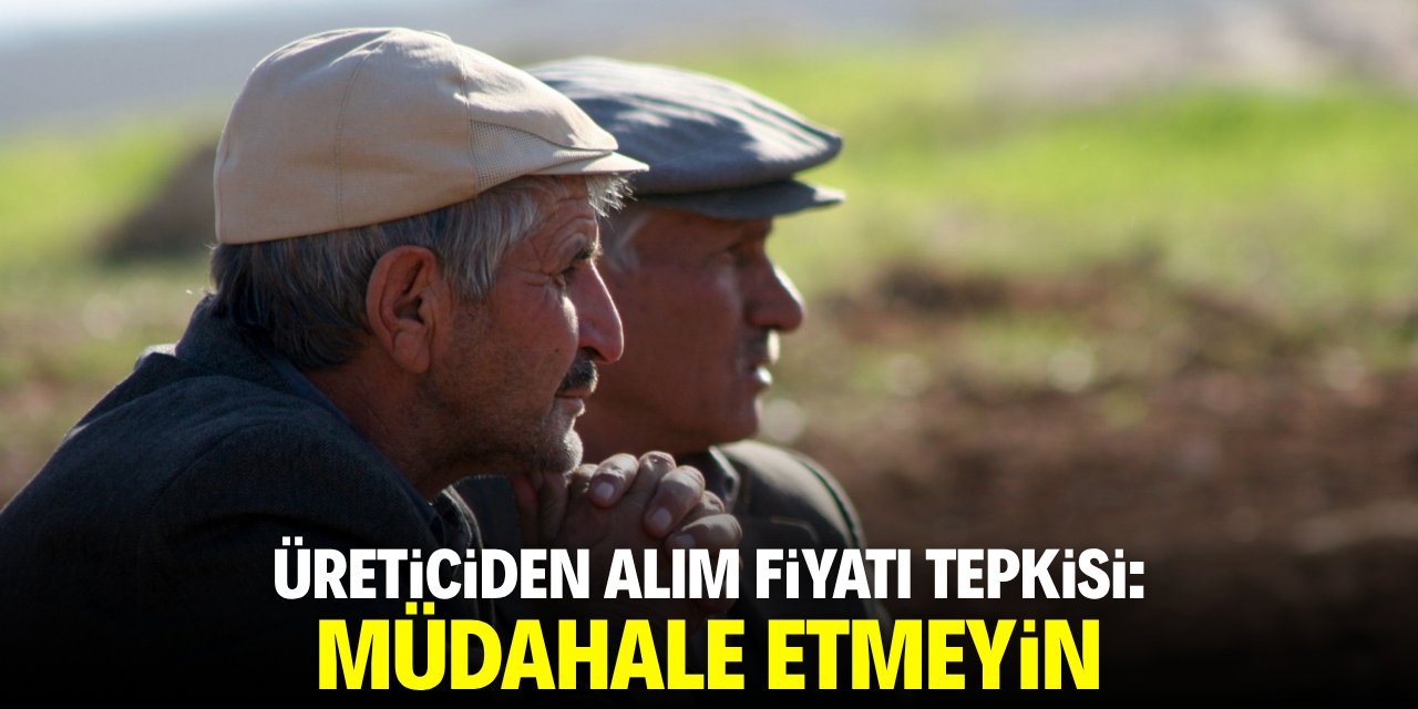 Konyalı üreticilerden alım fiyatı tepkisi: Müdahale etmeyin