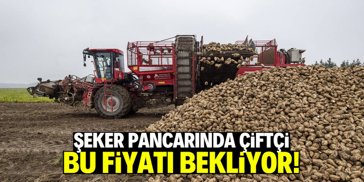 Şeker pancarında çiftçinin alım fiyatı beklentisi belli oldu!