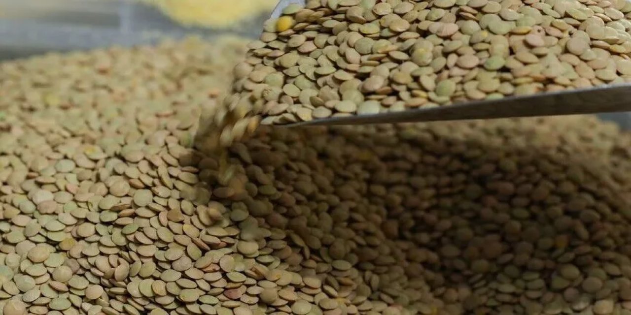 Yeşil mercimek alımında esaslar belirlendi