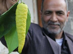 Bunun ne olduğunu tahmin bile edemezsiniz!