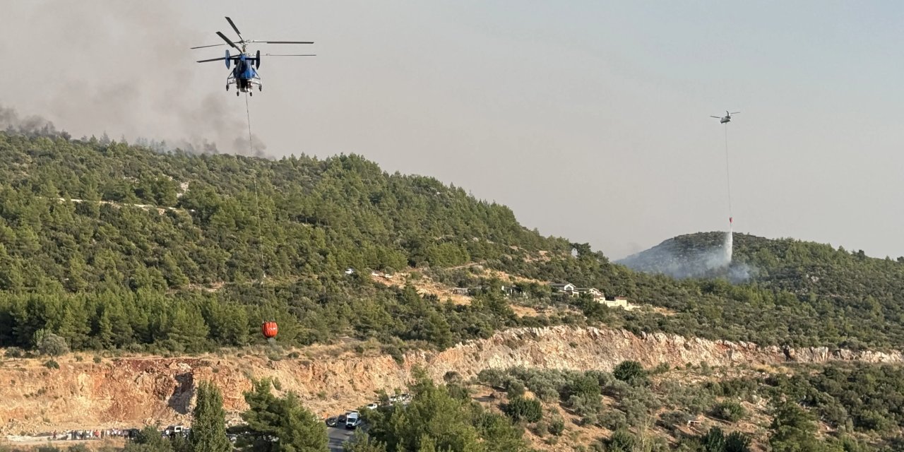 İki şehirdeki orman yangını kontrol altına alındı