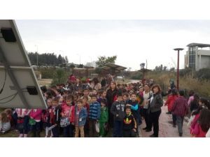 Güneşev'i 21 Bin Kişi Ziyaret Etti