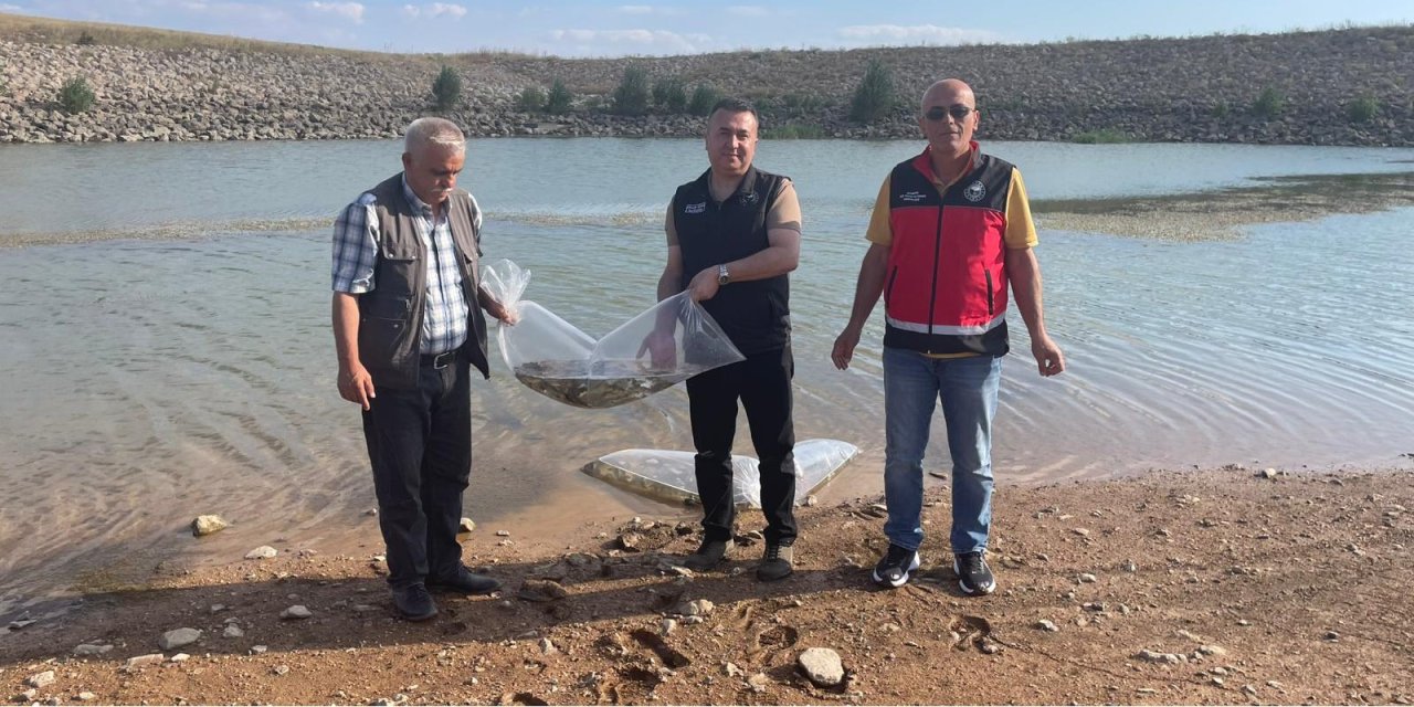 Beyşehir'in göletlerine yavru balıklar bırakıldı