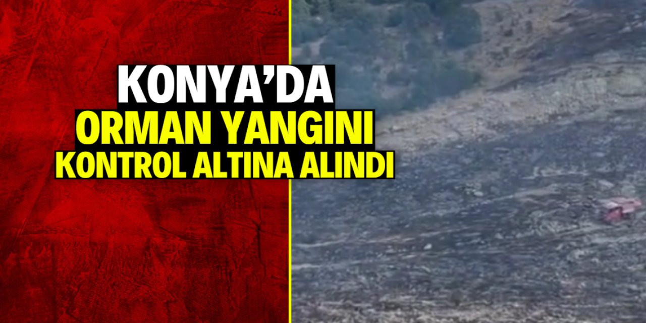Konya'da orman yangını kontrol altına alındı! 2 hektar alan zarar gördü