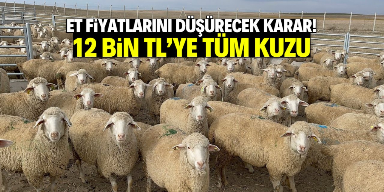 Et fiyatlarını düşürecek karar! 12 bin TL'ye tüm kuzu satılacak