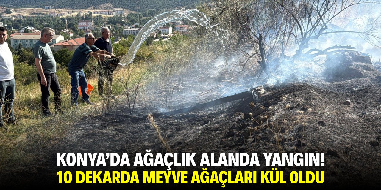 Konya'da ağaçlık alanda yangın! 10 dekarda meyve ağaçları kül oldu