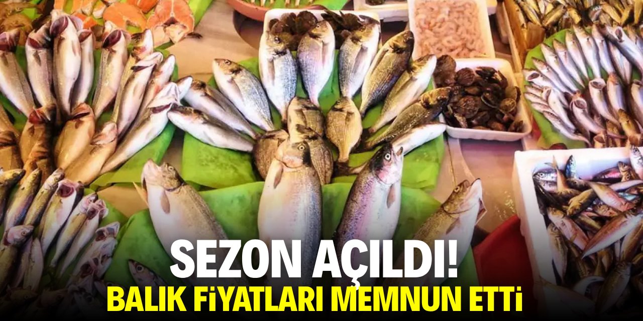 Sezon açıldı! Balık fiyatları memnun etti