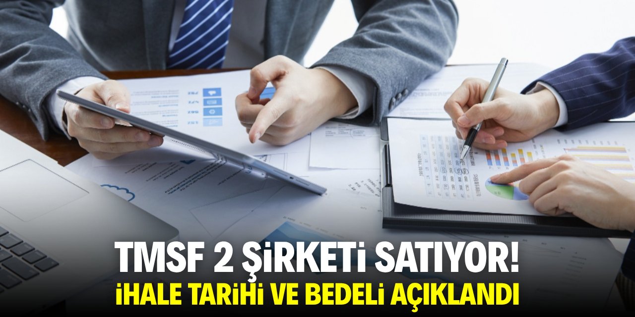 TMSF 2 şirketi satıyor! İhale tarihi ve bedeli açıklandı