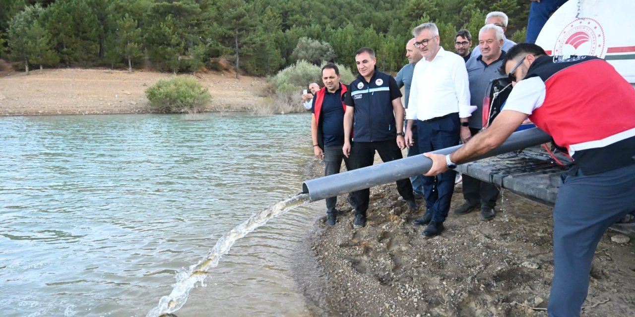 Konya'da göletlere 500 bin sazan yavrusu bırakıldı