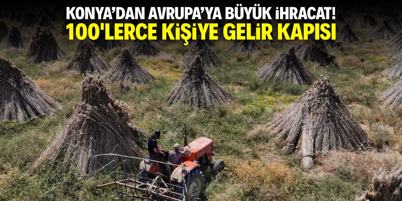 Konya'dan Avrupa'ya büyük ihracat! 100'lerce kişiye gelir kapısı