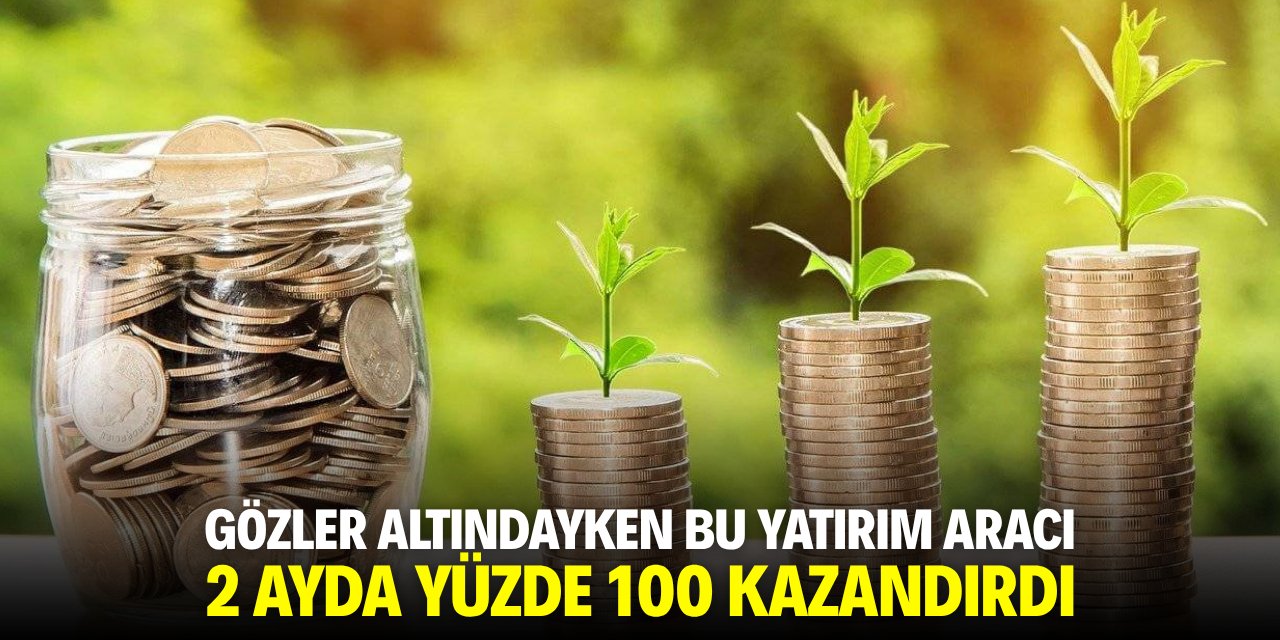 Gözler altındayken bu yatırım aracı 2 ayda yüzde 100 kazandırdı