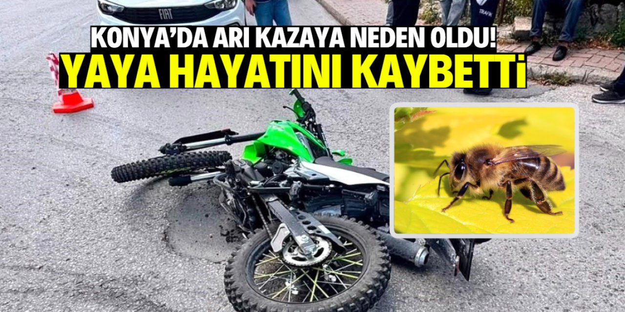 Konya'da arı kazaya neden oldu! 75 yaşındaki isim hayatını kaybetti