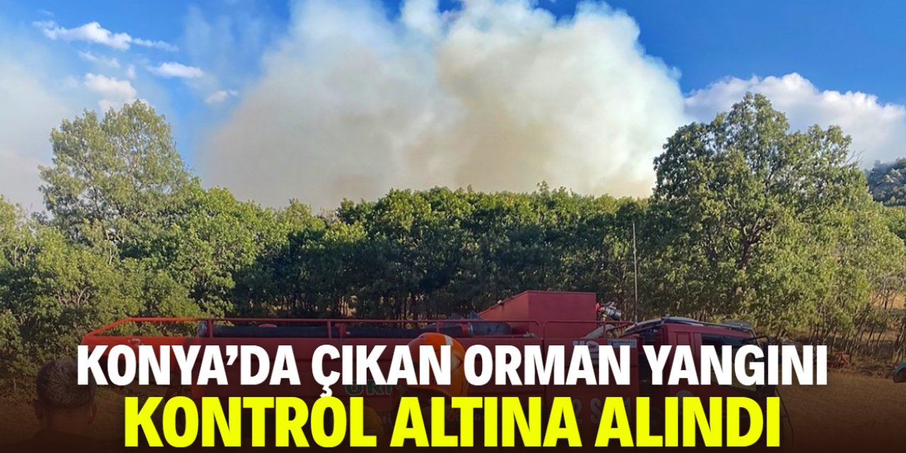 Konya'da çıkan orman yangını kontrol altına alındı