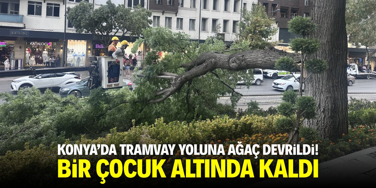 Konya'da tramvay yoluna ağaç devrildi! Bir çocuk altında kaldı