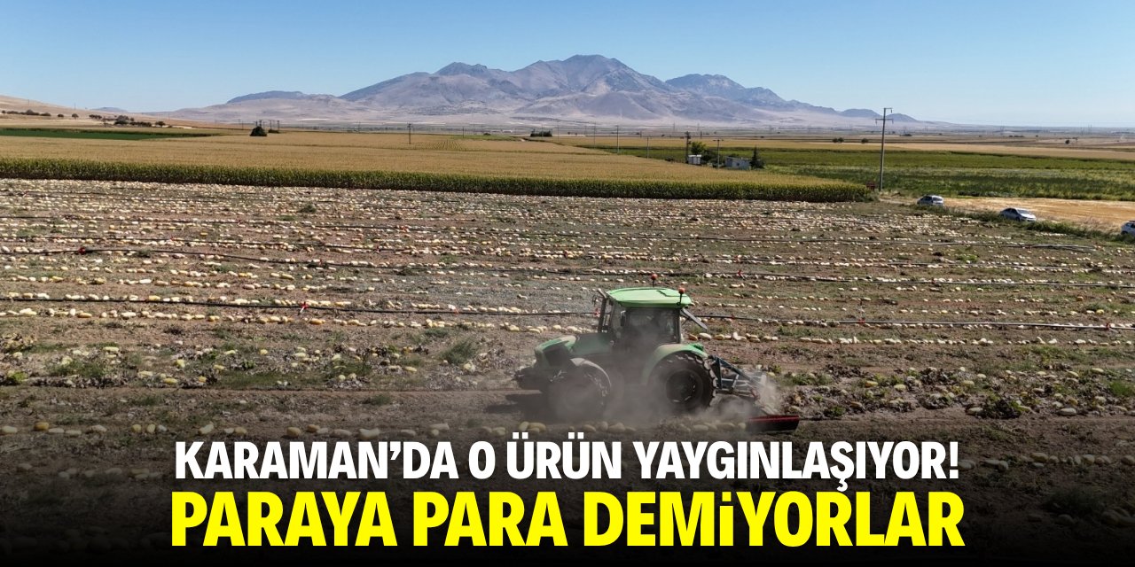 Karaman'da o ürün yaygınlaşıyor! Paraya para demiyorlar