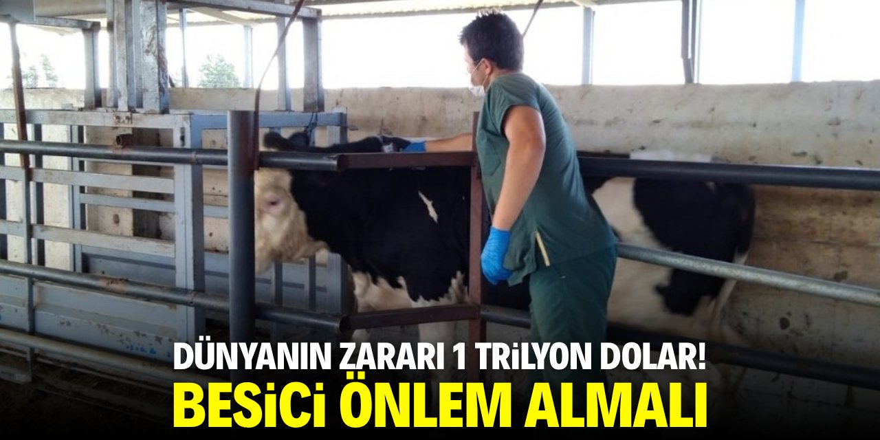 Küresel ölçekte zarar 1 trilyon dolar! Besici önlem almalı