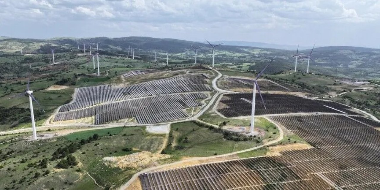 Türkiye'nin yenilenebilir enerji hedefleri anlatıldı