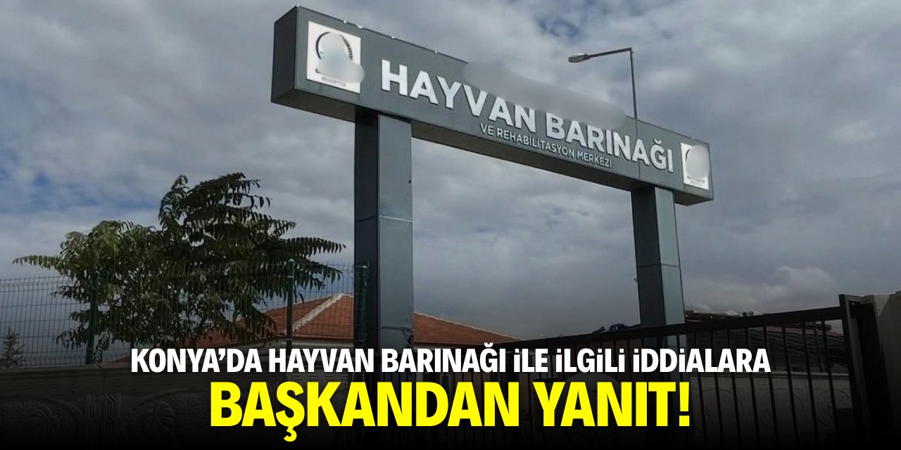 Konya'da hayvan barınağı ile ilgili iddialara başkandan yanıt