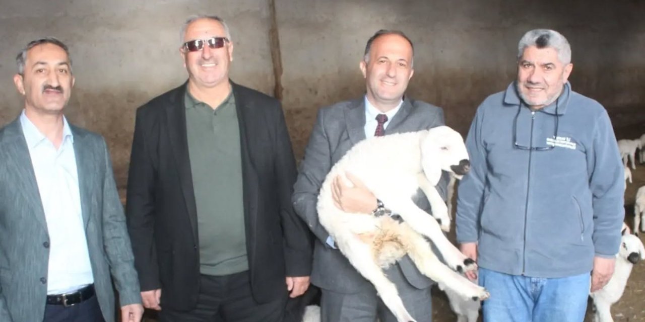 Küçükbaş hayvan üreticisine KOP desteği