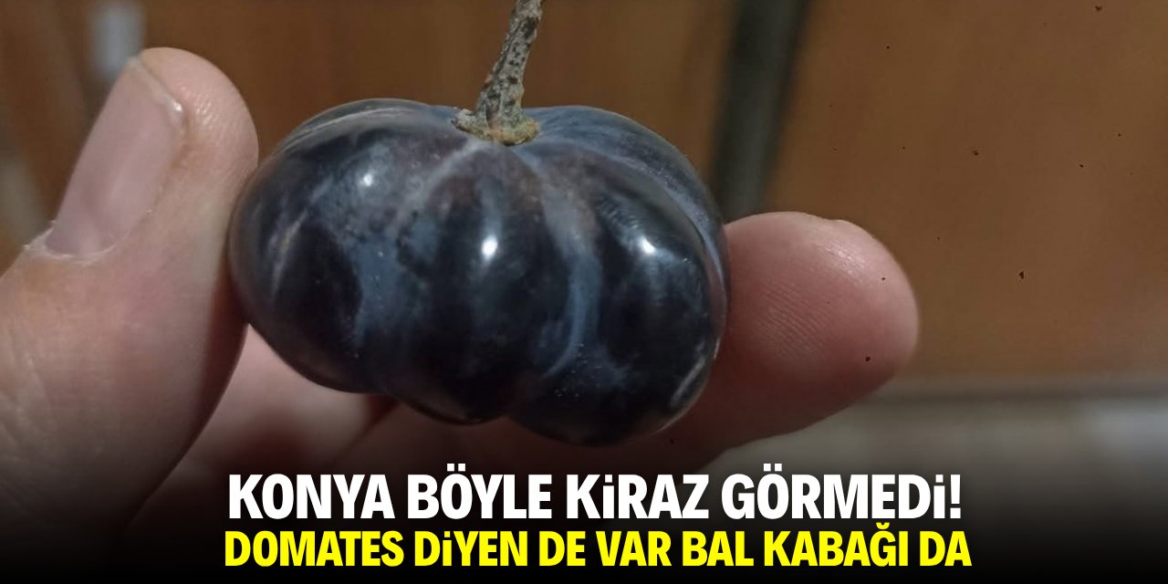 Konya böyle kiraz görmedi! Domates diyen de var bal kabağı da