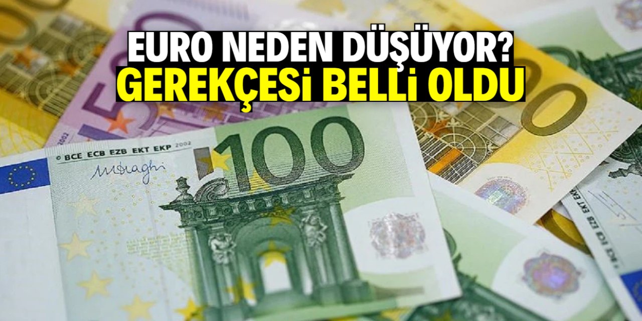 Euro neden düşüyor? 5 ay sonra bir ilk