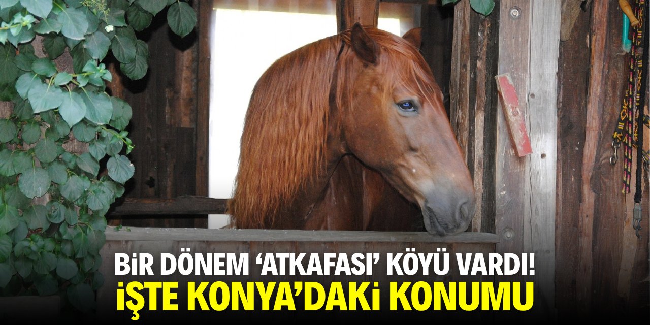 Bir dönem 'Atkafası' Köyü vardı! İşte Konya'daki konumu