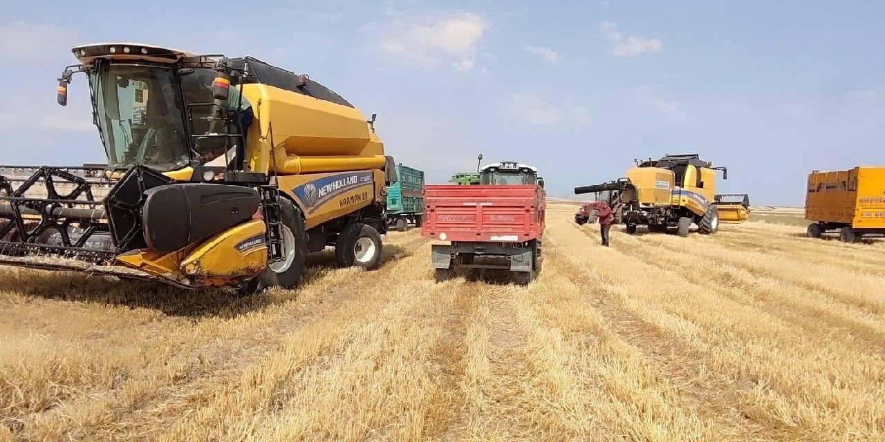 Tarım sektörü ihracatı rekor kırdı