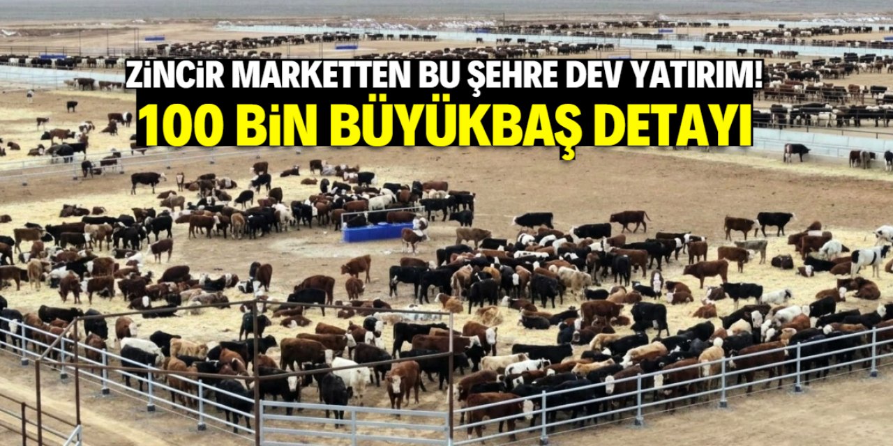 Zincir marketten bu şehre rekor yatırım! 100 bin büyükbaş hayvan detayı