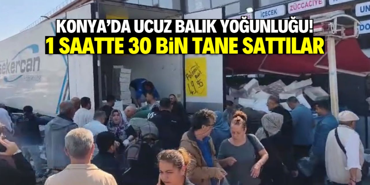 Konya’da ucuz palamut yoğunluğu! 1 saatte 30 bin balık sattılar