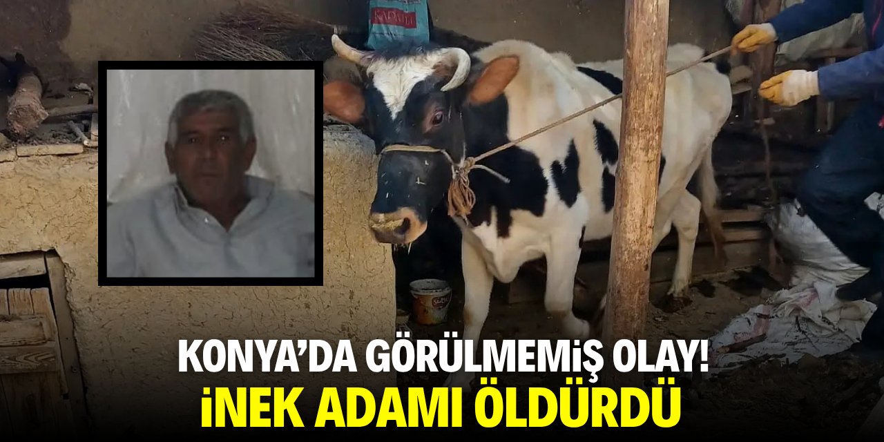 Konya'da ineğin saldırısına uğrayan kişi hayatını kaybetti