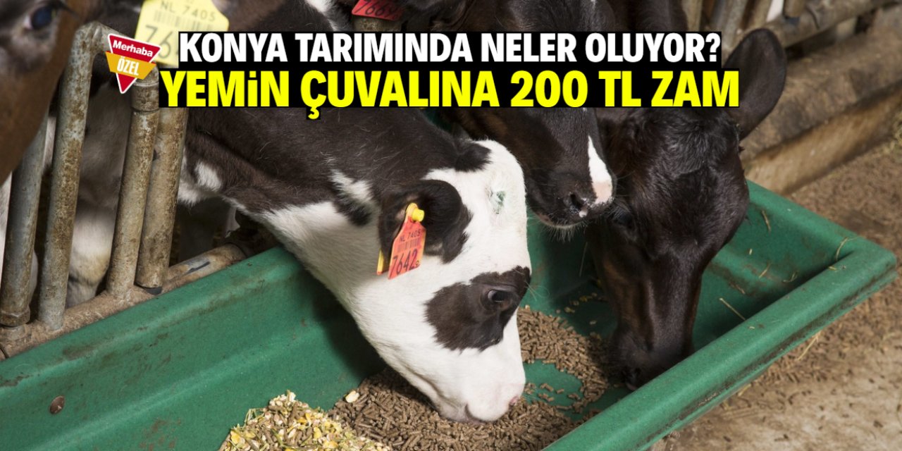 Konya tarımında neler oluyor? Yemin çuvalına 200 TL zam
