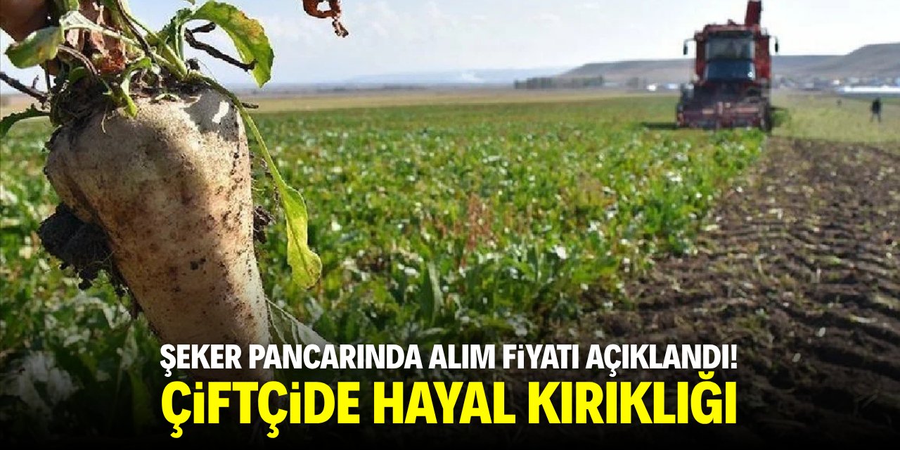 Şeker pancarında alım fiyatı açıklandı! Çiftçide hayal kırıklığı