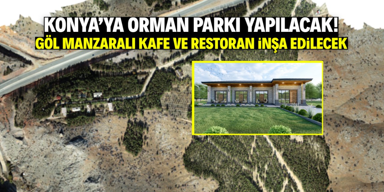 Konya'ya yeni orman parkı yapılacak! Göl manzaralı kafe ve restoran inşa edilecek
