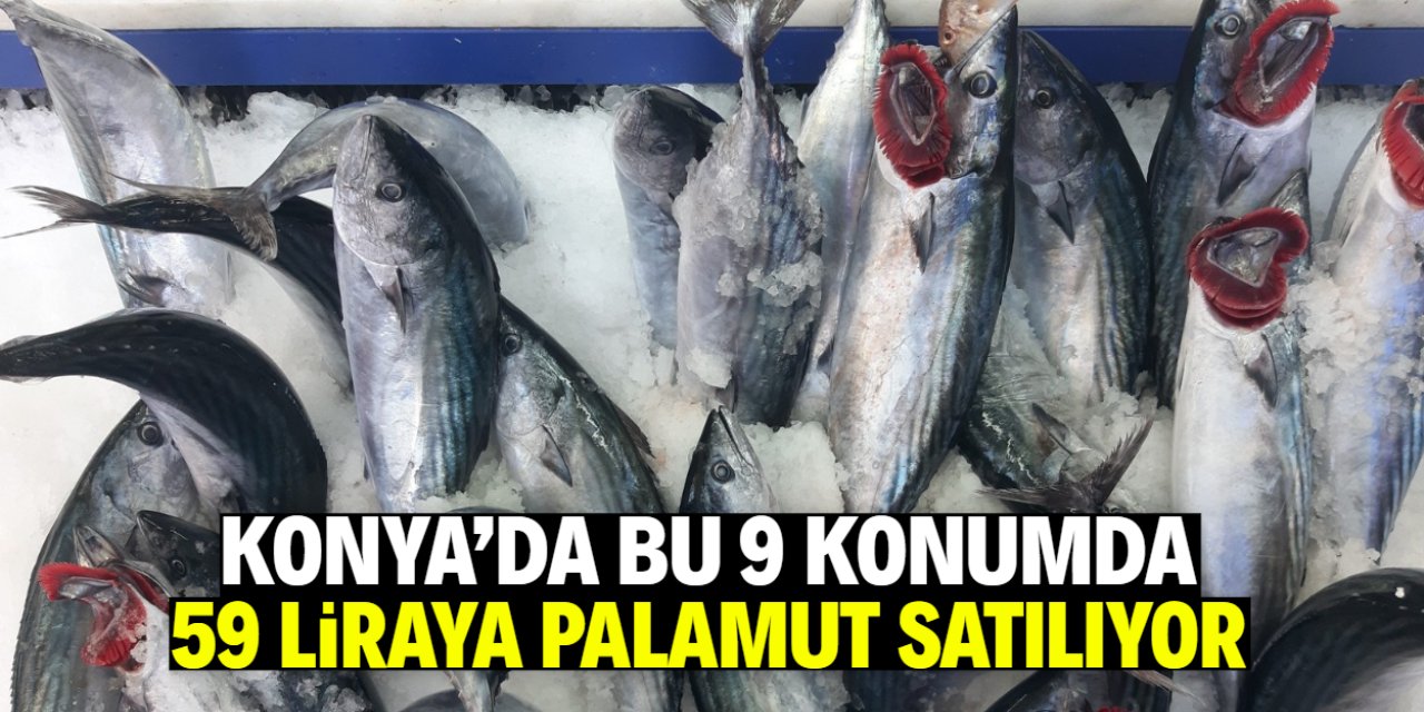 Konya'da 59 liraya palamut satılıyor! İşte o 9 mağaza
