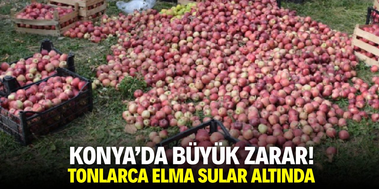 Konya'da büyük zarar! Tonlarca elma sular altında
