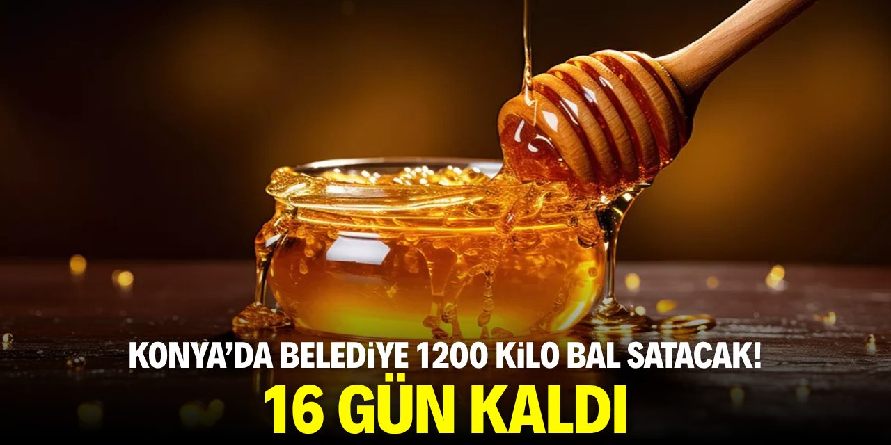 Konya’da belediye 1200 kilo bal satacak! 16 gün kaldı