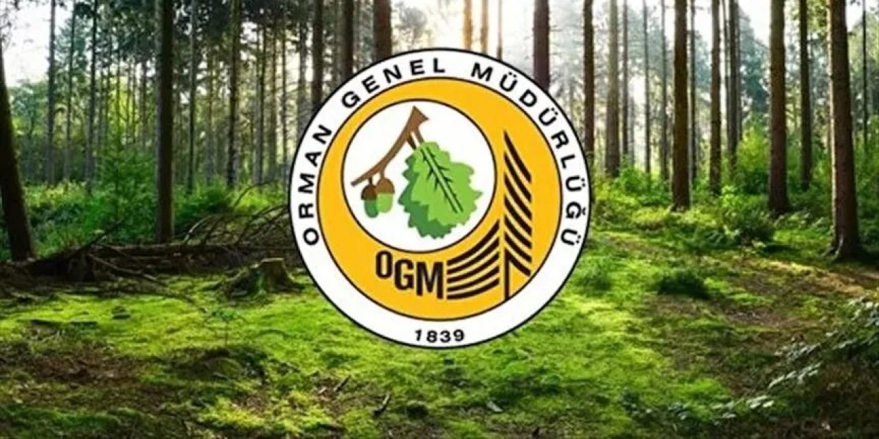 Orman Genel Müdürlüğü yeni personel istihdam edecek