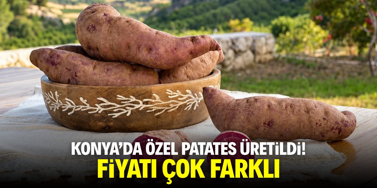 Konya'da özel patates üretildi! Fiyatı çok farklı