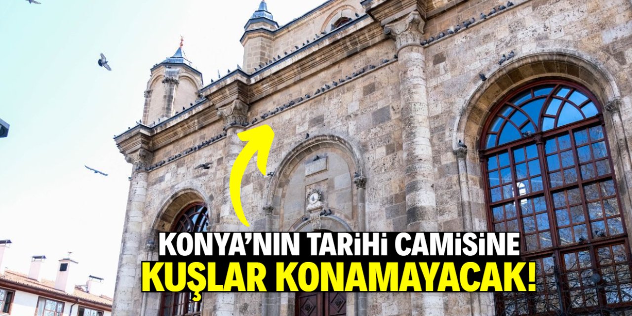 Konya'nın tarihi camisine kuşlar konamayacak! İşte gerekçesi