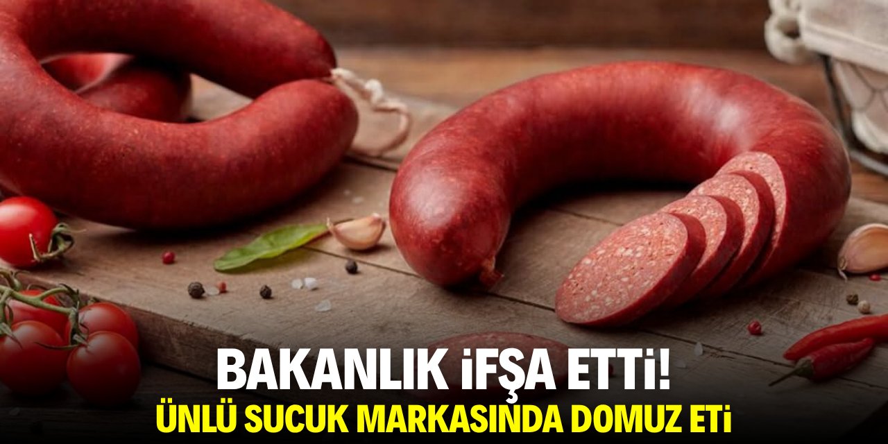 Bakanlık ifşa etti! Ünlü sucuk markasında domuz eti