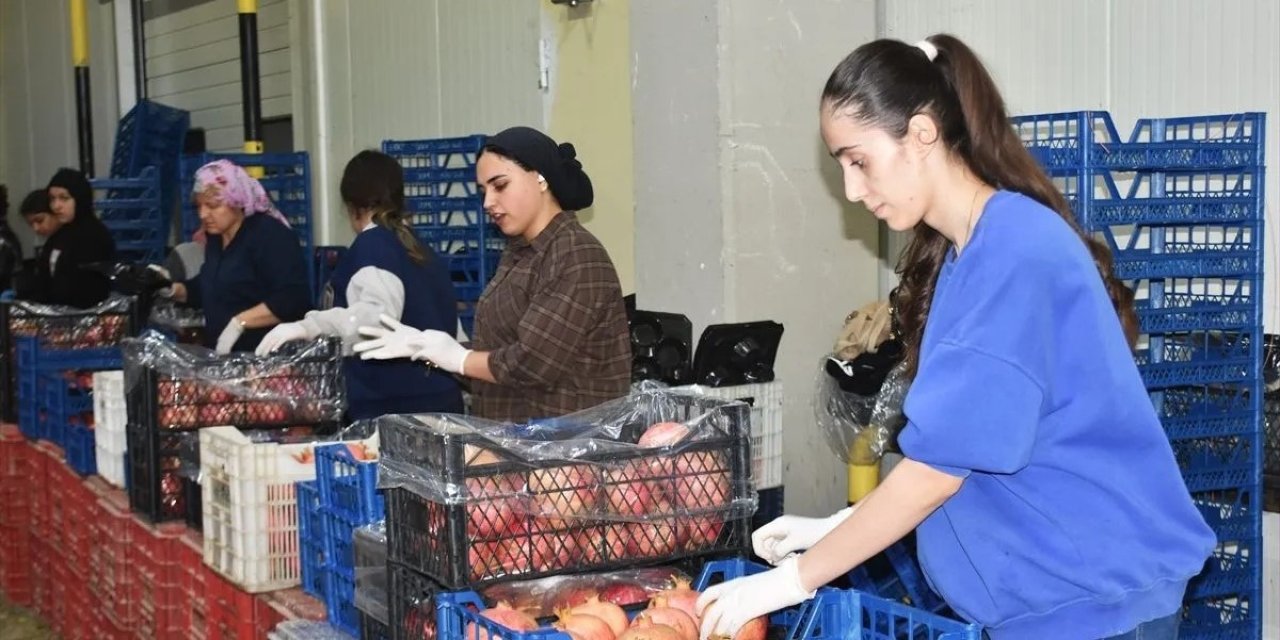 3 ilin yaş meyve ihracatı yüzde 53,5 arttı