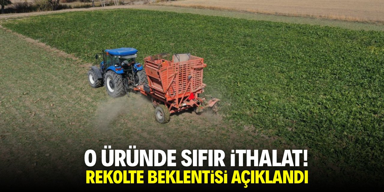 O üründe sıfır ithalat! Rekolte beklentisi açıklandı